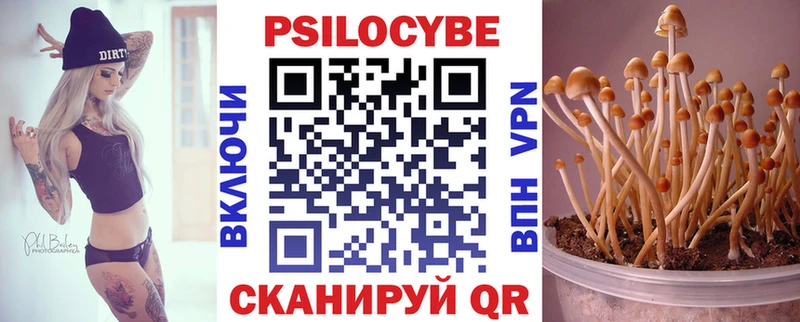 MEGA онион  Абакан  Псилоцибиновые грибы Psilocybe 